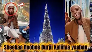Sheeka Roobee Burjii Kaliifaa daawatanii surprise ta'an🤦🫣