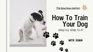 Effective Dog Training Tips for Success