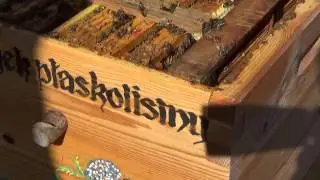 Nowości! Moje Ule Jednościenne Wielkopolskie i Izolatory Modułowe - cz. 1