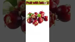 Fruit name starts U #preschool #homevocabulary #preschoollearning #shorts #shortsfeed@readkidz19