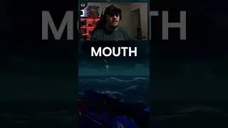 Boxy gottem