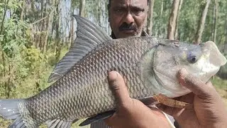 how to hunt big Bocha fish #fishing #katla #rahu #indian fishing #Singh ka shikar  Saleem bhai