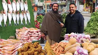 گزارش ضیا صالحی از سه راهی علاودین، دارلمان /Zia Report Of 3 Rahi Aladdin darlaman
