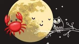 CANCRO ♋️ Messaggio dalla LUNA NUOVA di GENNAIO 2026 in CAPRICORNO ♑️ 🌑