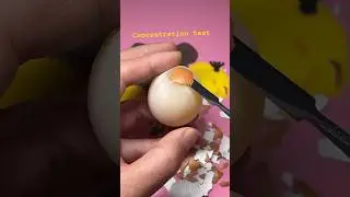 Your concentration test. No1