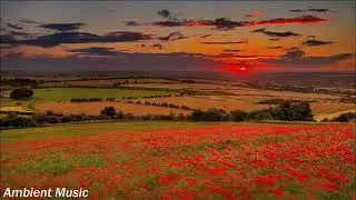John Gregorius - Full Of Life