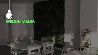 wiidoo digital marketing organic seo website design