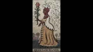 January 19, 2026 - Tarot Card of the Day - Queen of Wands