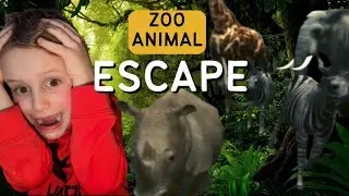 Zoo Animals Escaped and Destroyed our House!