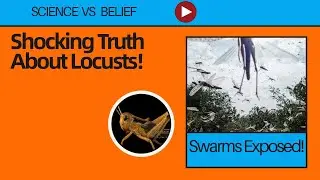 The Shocking Truth About Locust Swarms! Science Just Debunked Everything!#science #insectscience