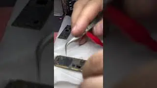 IPhone 11 Plus m curto 