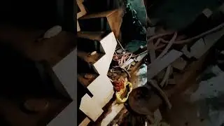 jeena cutting tiles design// technology technical tiles 🧱&radic; #short