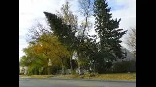 Custer County Nebraska Wind Damage October 18, 2012