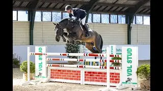 Jardonnay VDL Stud Stallion Show 2021