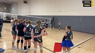 Live powered by Swish Live app
ROYALS VS PANDAS