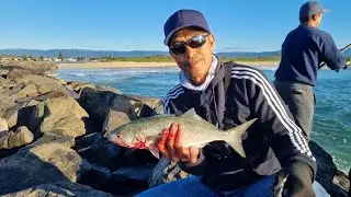 PLENTY OF BIG TAILOR FISH AT WINDANG BREAKWATER/ SARAP MAMIWAS DAMING ISDA# SYDNEY NSW