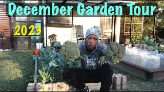 December Garden Tour 2023 #garden #gardening