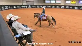 100x Waco Score 141.5. Placed 3rd in L1 NP Novice Horse. Pattern 14.