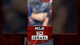 Israel-Palestine War | 