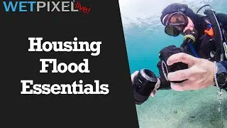 Essential Information for Underwater Photographers Dealing with a Housing Flood