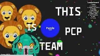 ★ PUMBA & ChicK & Panda★ Agar io