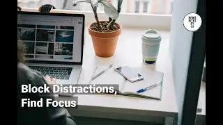 Best Distraction Blockers to Jumpstart Your Focus