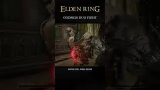 Fighting God skin duo 👿 #shorts #games #eldenring #hindigaming