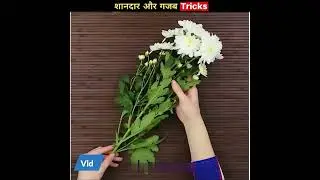 SIMPLE EASY LIFE HACKS || HOW TO CHANGE FLOWER COLOR || DESI JUGAAD || #lifehack #shorts