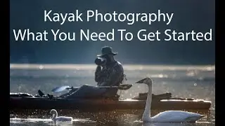 Wildlife Photography From a Kayak - Complete Beginners Guide