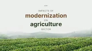 eco261 - impacts of modernization on agriculture sector