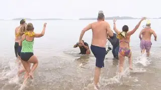 Raw Video: L Street Brownies Polar Plunge In South Boston