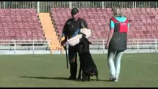 Klassik Allert Sayger C-90 IPO-1 / Universal Championship 2011