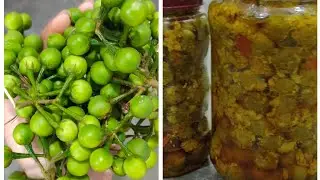Turkey berry Pickles #shortsfeed #northeastindia