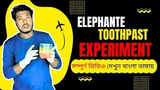 Elephant Toothpaste: Epic Science Experiment! বিশাল এলিফ্যান্ট টুথপেস্ট তৈরির ম্যাজিক!