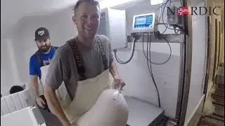 Scallops are harvested, processed, and tracked with blockchain tracking tech aboard the Venture
