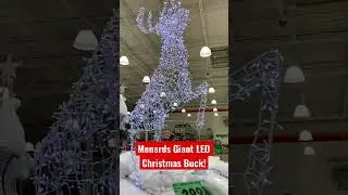 Huge LED pr-lit wire frame buck @menards #shorts #menards #christmas #chrismaslights #wireframe 🦌