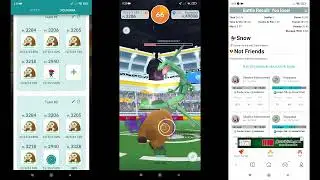 Rayquaza SOLO (no XL, snowy weather) [commentaded]