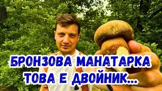 Бронзова #манатарка - това е #двойник