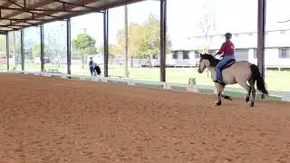 OWDA Turkey Trot INT4-A: Intro, Tesg 4 Amateur