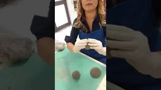 sfera vuota in argilla rossa
