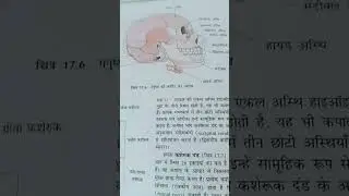 #aspirants #aiims #neet #aiimsmbbs #aiimsmbbs #motivation #study