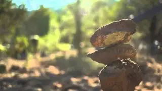 Rekindling hope  Star Guides Wilderness