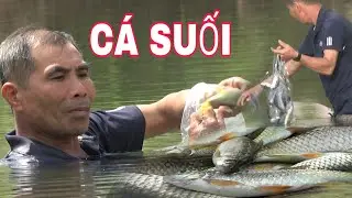 GIĂNG LƯỚI BẦY CÁ SUỐI SAU CƠN LŨ | TRÃI NGHIỆM NGŨ RỪNG THƯỞNG THỨC ĐẶC SẢN MIỀN NÚI