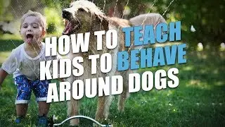 How To Teach Kids To Behave Around Dogs