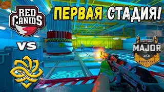 Legacy vs RED Canids - ЛУЧШИЕ МОМЕНТЫ - StarLadder Budapest Major 2025