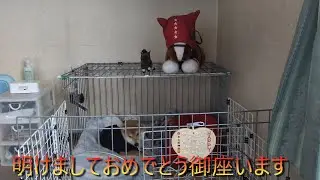 小次郎チャンネル３