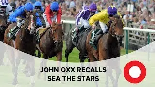 'In 100 years you don't have many like that' - John Oxx recalls Sea The Stars