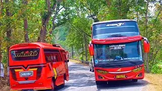 Bus Agramas mania kepo kepo AQu