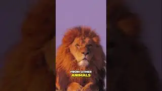 Unleash Your Inner Lion: Achieve Anything