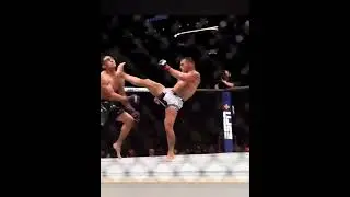 insane Michael Chandler knocking out Tony Ferguson at UFC 274 - alternate angles